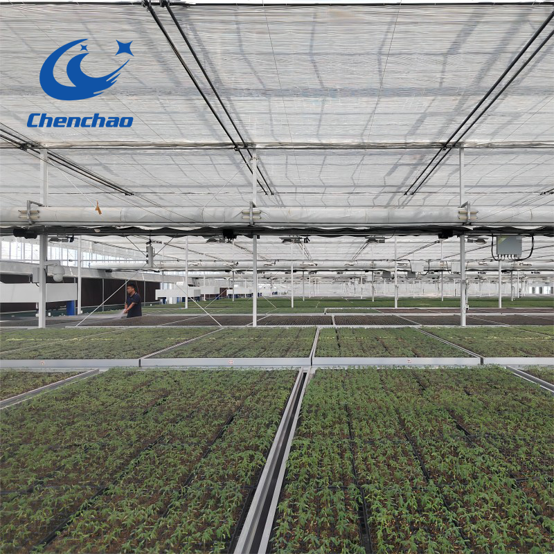 Automatic Greenhouse Automatic Ebb And Flow Bench Logistics Bench System