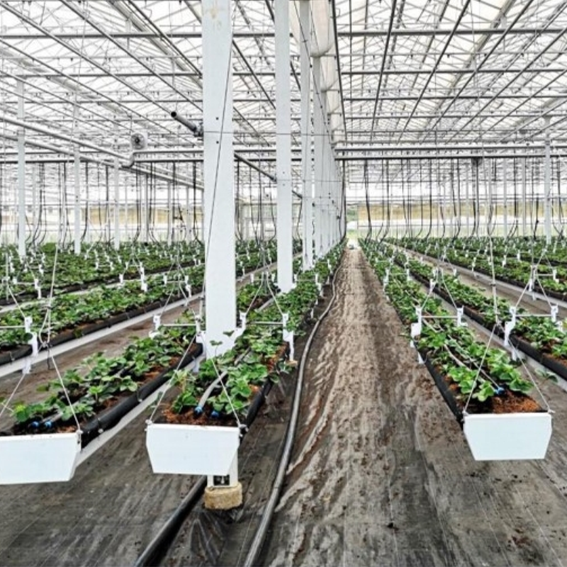 Translatable Hanging Strawberry Cultivation Planting System